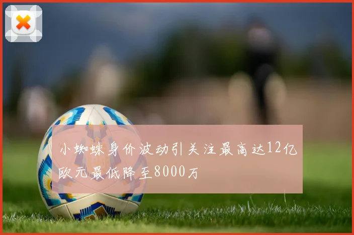 小蜘蛛身价波动引关注最高达12亿欧元最低降至8000万